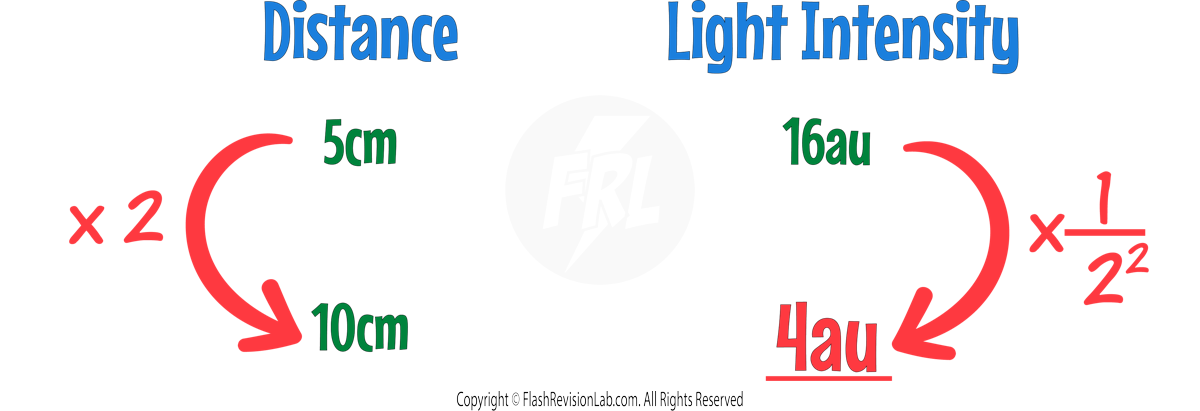 Calculation1Ans